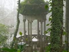 장마철의 비처럼