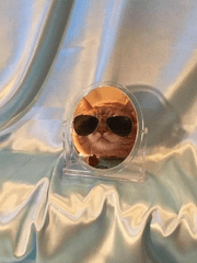 가족이 왜 이래