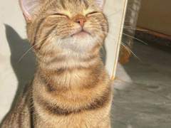 2. 칭찬을 해보았다