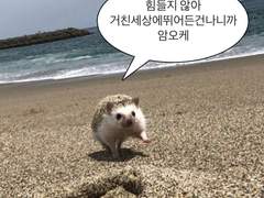 빌라 이웃들 TALK2