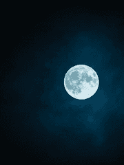 마피아 자캐들 단편 소설 모음