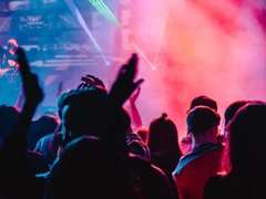 앨리캣과 부산갈매기의 상열지사 1