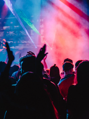 앨리캣과 부산갈매기의 상열지사