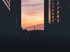 비밀 일기장 두 쪽