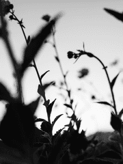 키미가시네 창작소