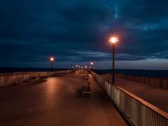 아름답고 자유로운