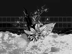 말하고 싶은 것은 없습니까.