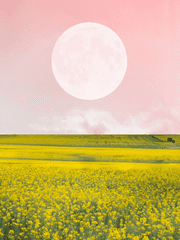 [도리벤/드림] 작전명 '해피엔딩'