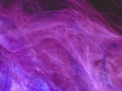 영화를 잊은 그대에게