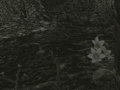 무덤에 바치는 꽃