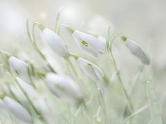 Hilbert Day :: XY 27