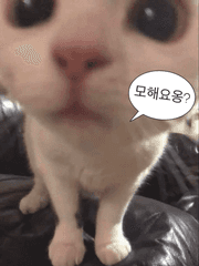 빌라 이웃들 TALK