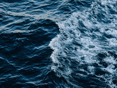 <Rivera Daniel/M/23/Ferdinand bloem>