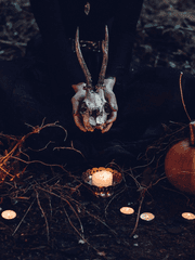 행동변이공간 제어센터 신입을 위한 안내서