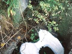 젊음은서툴고투박해야하며