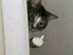 3. 아무 말 없이 지켜보았다