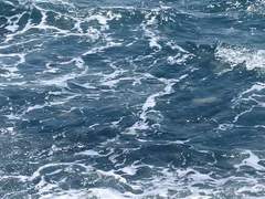 네 이름이라니 生을 말했을 뿐인데