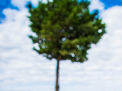 [하이큐드림] 어차피 남편은 오이카와 2화