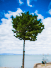 [하이큐드림] 어차피 남편은 오이카와