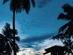 어느 여름날의 오후 -外傳-