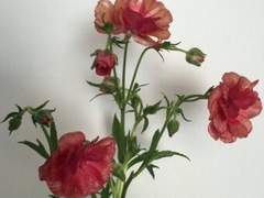 니들이 그러고도 경찰이야?