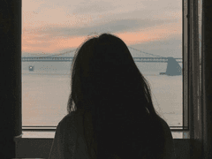 글 연재 공지 & 할인