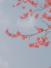 감히 영원한 사계