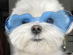 엔시티나페스추천_18