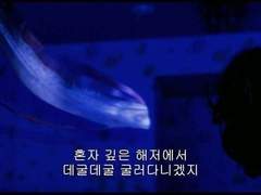 쿠로누마 유우코/19/XX