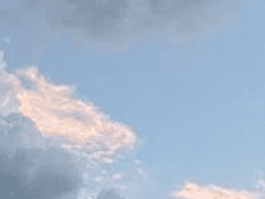 저 높이 비상할 나의 波濤를 위해서!