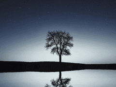 강지아 / XX / 18세