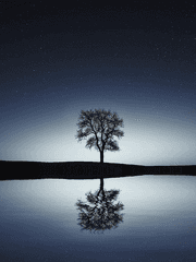 별은 밝음 속에 사라지고