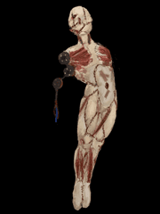 고어/그로테스크 샘플