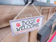 뉴욕에서 보스턴 고사리 찾기