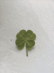 문장을 기록합니다.