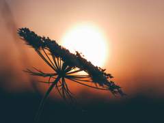 딛고 선 땅 위에