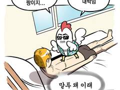 [행맨루스터] 고도의 닭화는 산란플과 구분할 수 없다