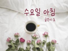 [재희주연] 수요일 아침