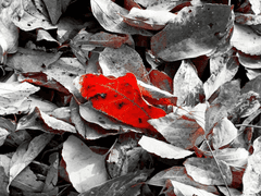 춘 연희의 노트.