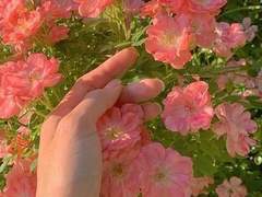 A toi qui m'accompagne depuis l'enfance.