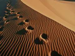 모래알과의 약속