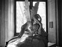 First, Daydream of Gloria’s Second Son