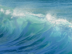 愛와 憎의 경계