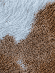 마중(단편묶음)