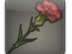 마음이 그리는 꽃