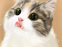 ✨seo._.eum 반려동물 커미션🐶✨