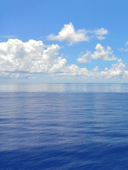 [뜰팁]단편 날조소설