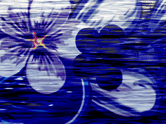 사랑이란 답이 제대로 도착하지 못하는 바다에 던져진 유리병과도 같다.