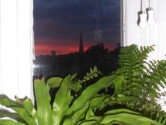 내 카메라 속 사진들