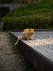 개인 기록 보관실